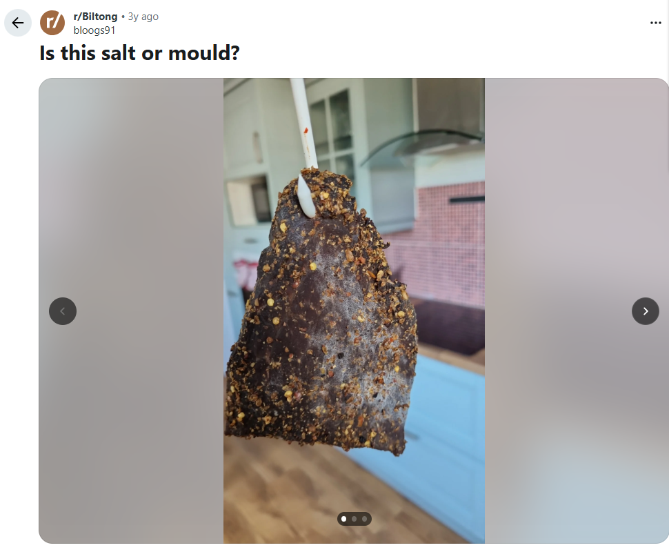 White powder on biltong surface showing the difference between salt bloom and mould