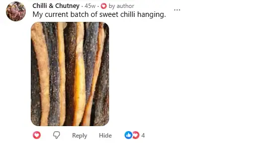 Facebook comment from Chilli and Chutney with a photo of sweet chilli biltong hanging: My current batch of sweet chilli hanging.